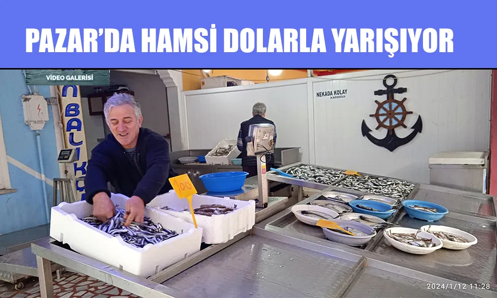 Hamsiye DOLAR ayarı