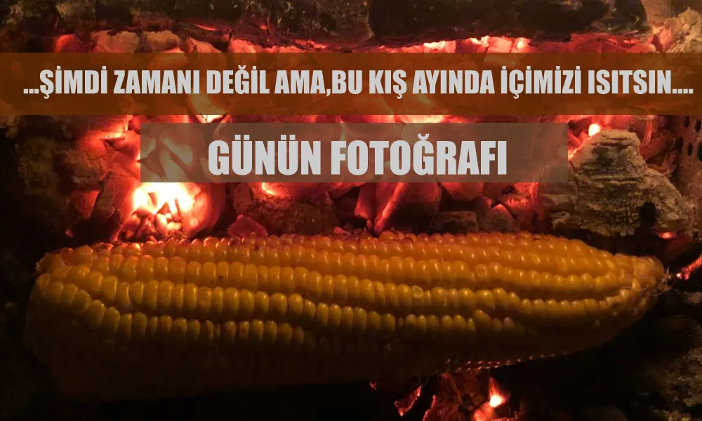 Günün Fotoğrafı