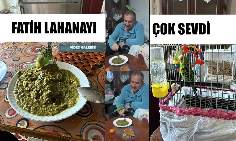 Fatih Lahana yemeğini çok sevdi