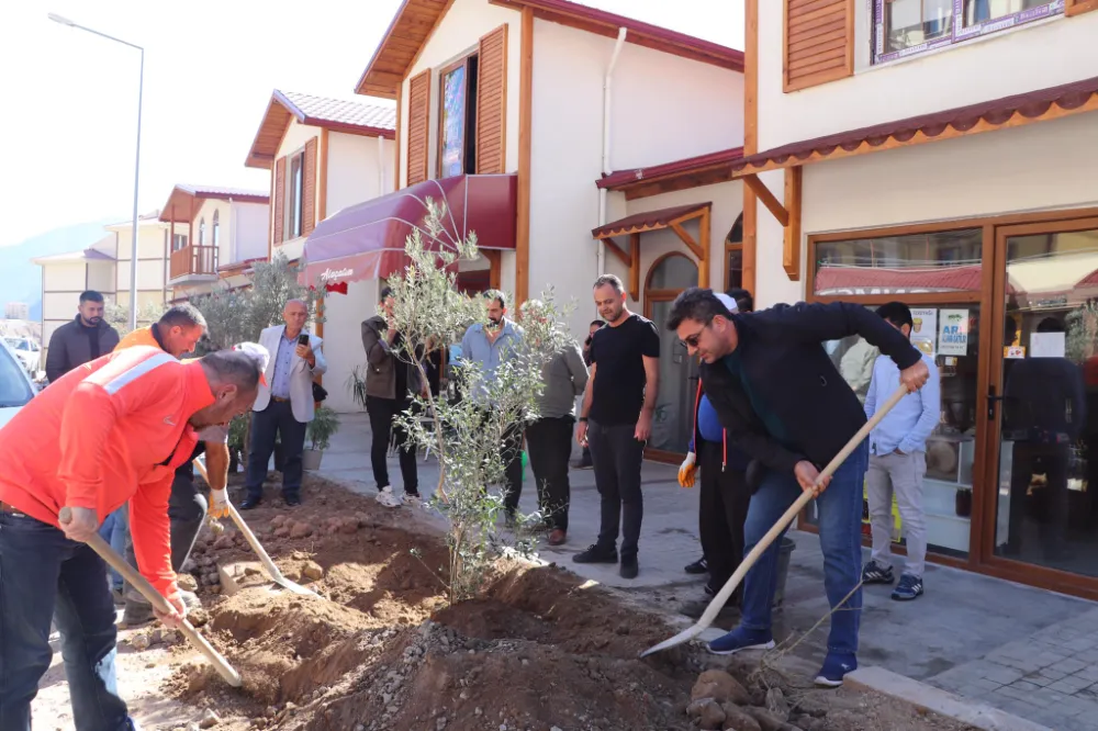 YUSUFELİ’NDE ZEYTİN FİDANLARI TOPRAKLA BULUŞTURULDU