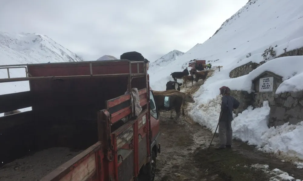 Palovit Yaylası’ndan Son Yaylacılar Da Ayrıldı