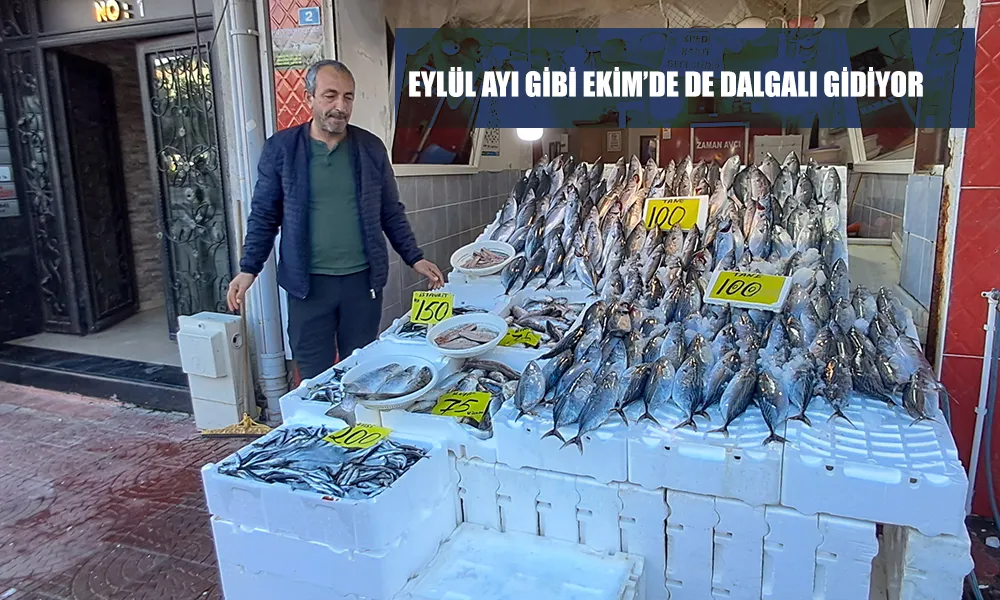 Ekim Ayında Balık Fiyatları Dalgalı Seyrediyor: Hamsi 200 TL