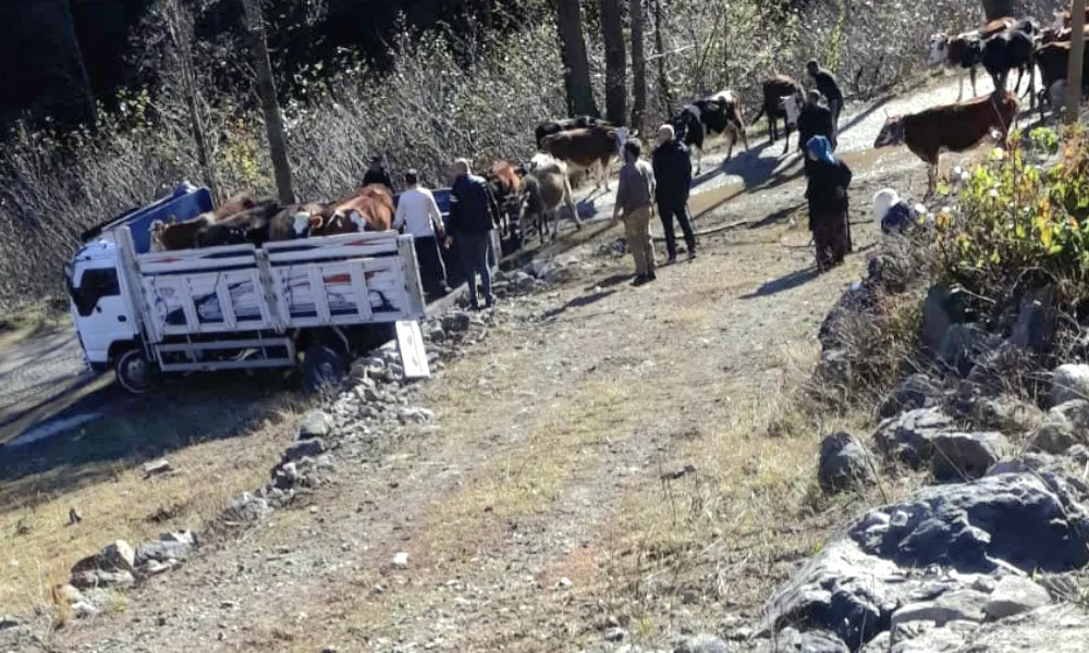 Kar ve Çamur Yayla Göçünü zorlaştırdı: Sıraköyler