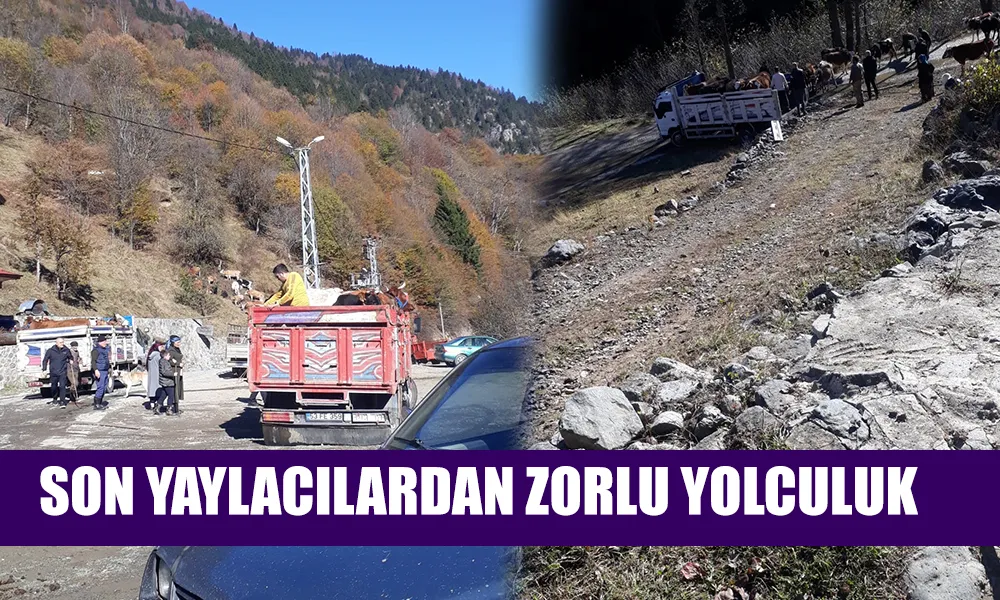 Kar ve Çamur Yayla Göçünü zorlaştırdı: Sıraköyler