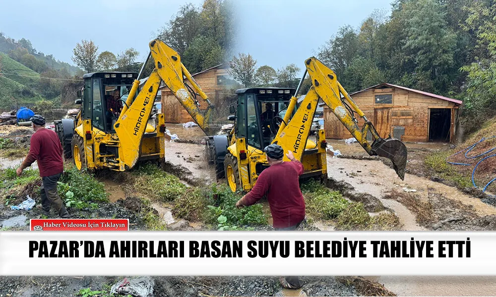 Pazar Belediyesi, Selden Etkilenen Hayvanları Kurtardı