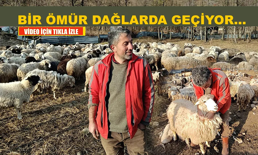 Ağa Sülalesinden Çoban: Mehmet Telatar