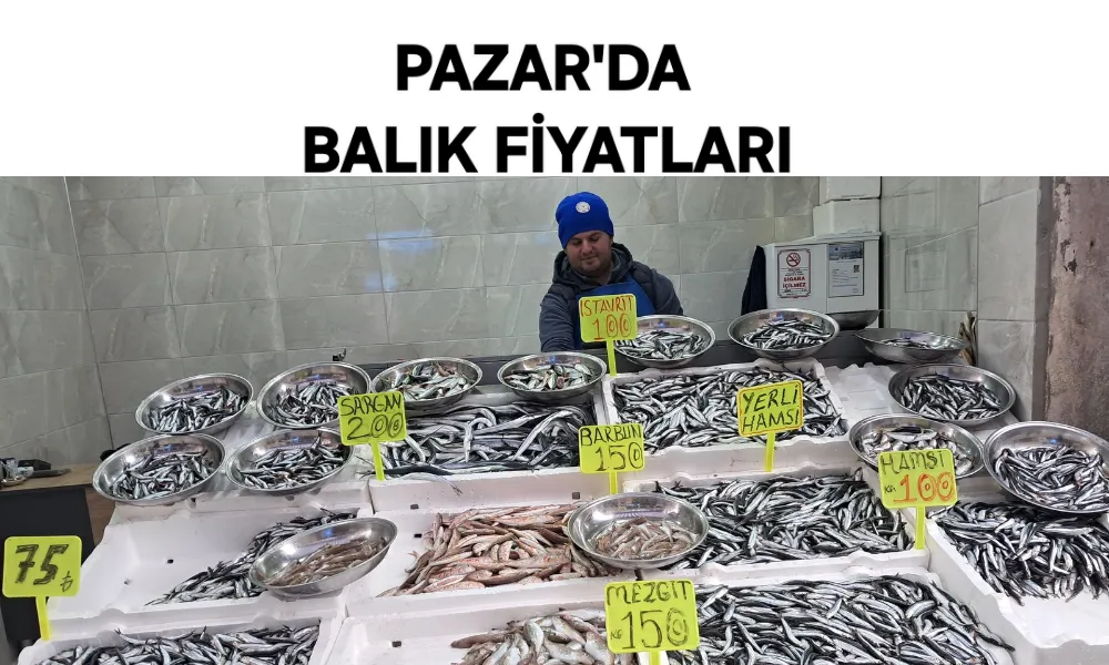 Rize Pazar’da Balık Fiyatları