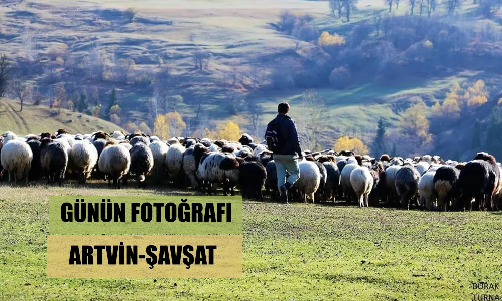 Günün Fotoğrafı: Artvin Şavşat