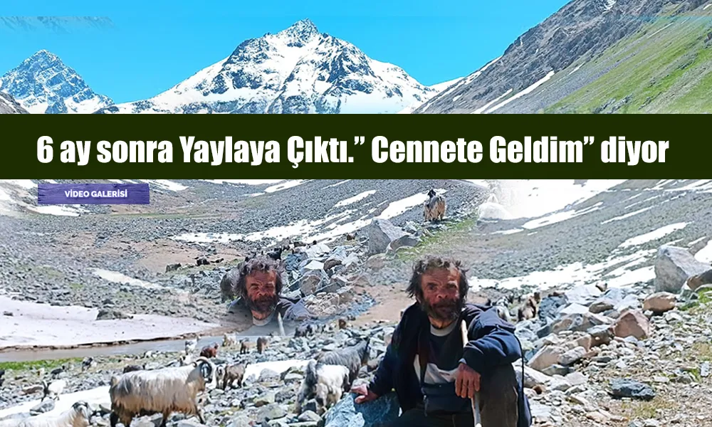 Çoban Cengiz, dağlarına kavuştu ve ilk sözünü söyledi: “Sanki Cennete Geldim”