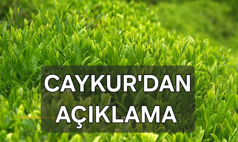 Çaykur