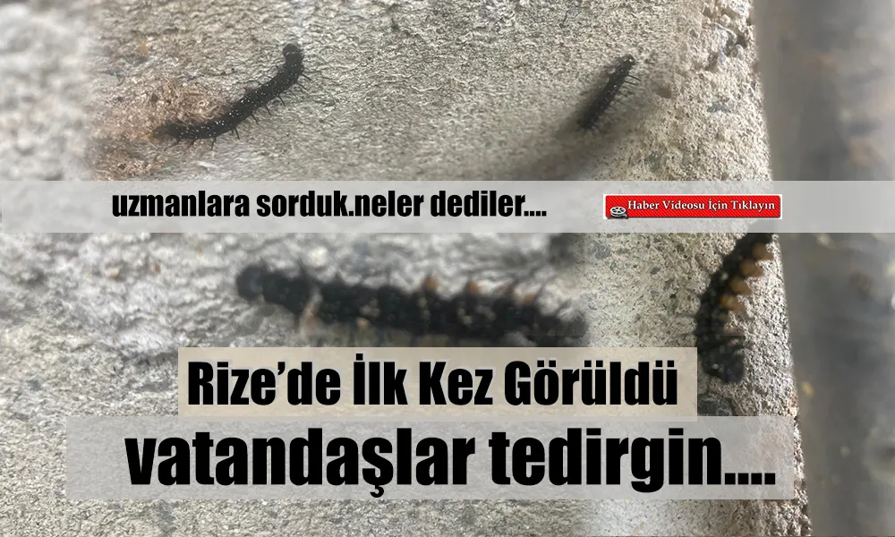 Yöre halkını tedirgin etti