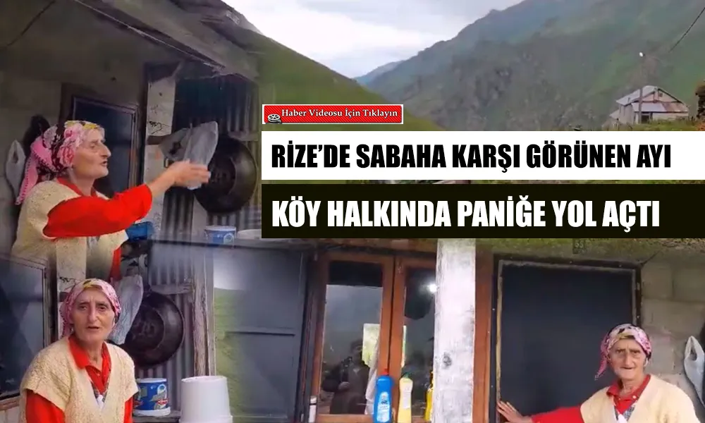 Rize’de Boz ayı korkuya neden oldu