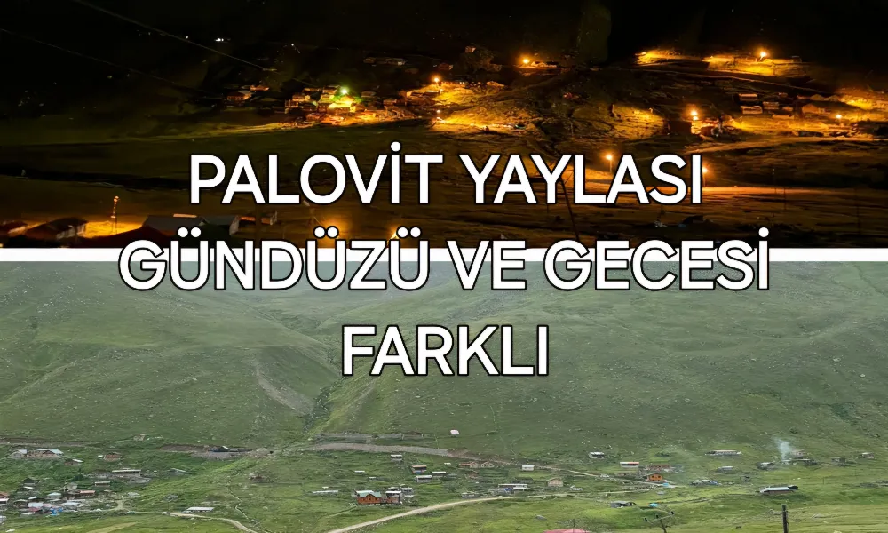 Gecesi gündüzü farklı yayla PALOVİT 