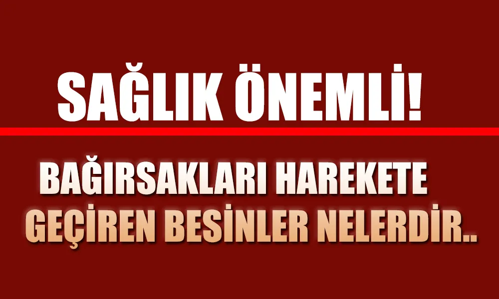 BAĞIRSAKLARI HAREKETE GEÇİREN BESİNLER NELERDİR?