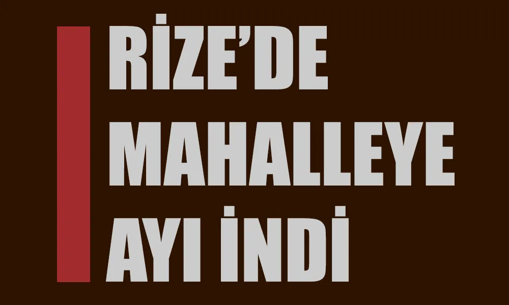 Rize