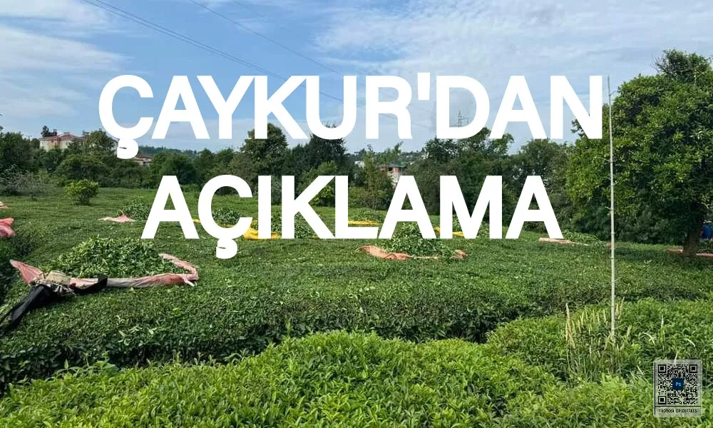 Çaykur