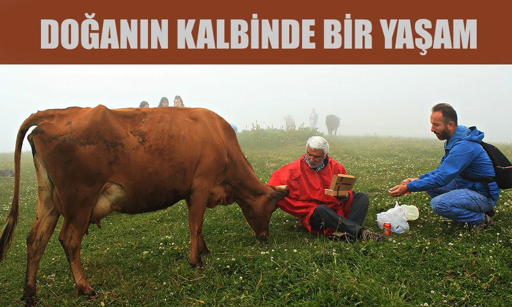 Karadeniz Yaylalarında Çobanlık: Doğanın Kalbinde Bir Yaşam