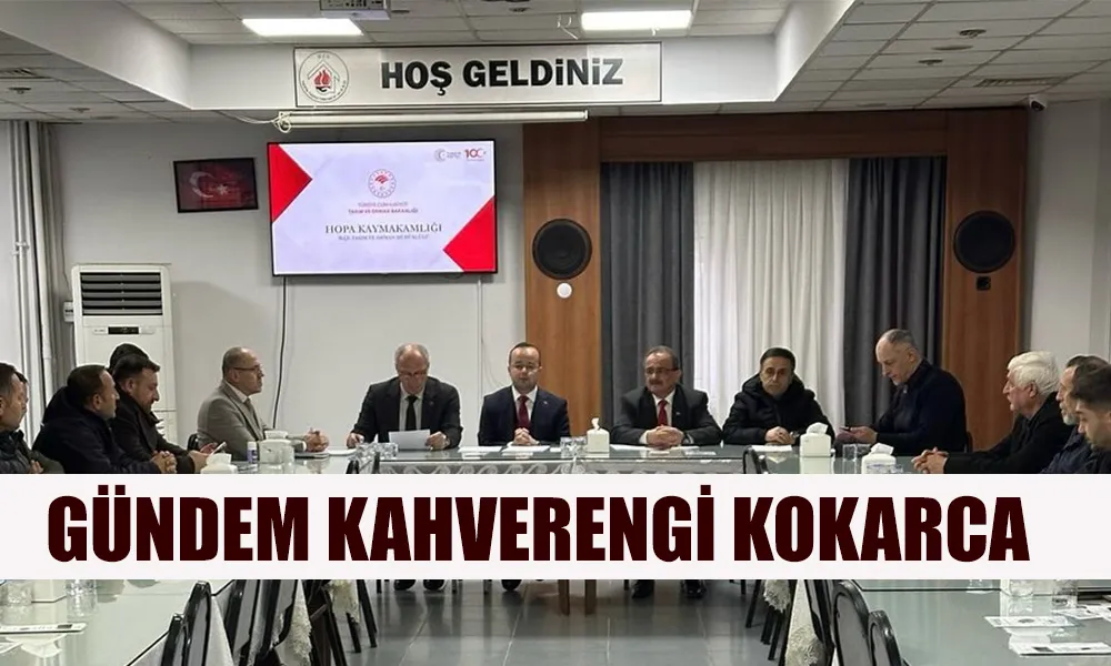 GÜNDEM KAHVERENGİ KOKARCA