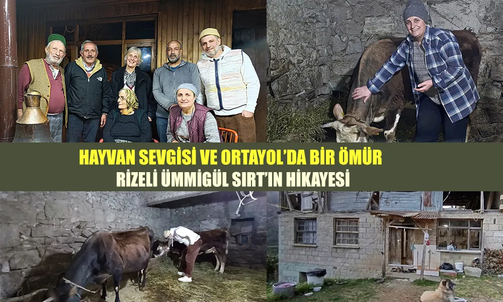 Hayvan Sevgisi ve Ortayol’da Bir Ömür: Rizeli Ümmigül Sırt’ın Hikayesi