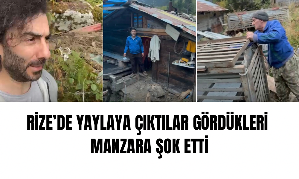 Karadeniz