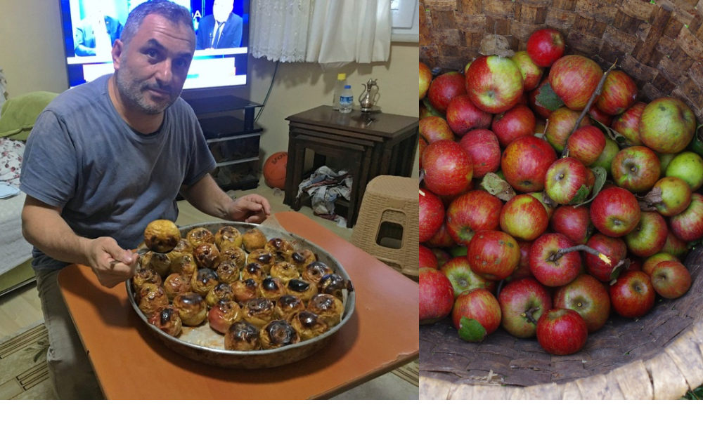 Rize Pazar’ın Demir Elması Tescil Bekliyor