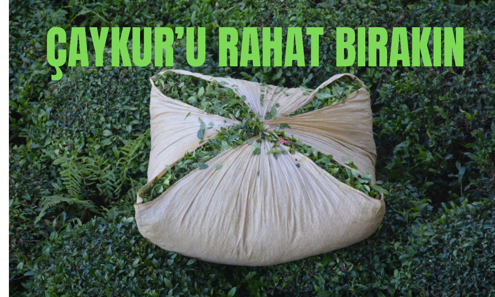 ÇAYKUR Üzerine Tartışmalar Sürüyor