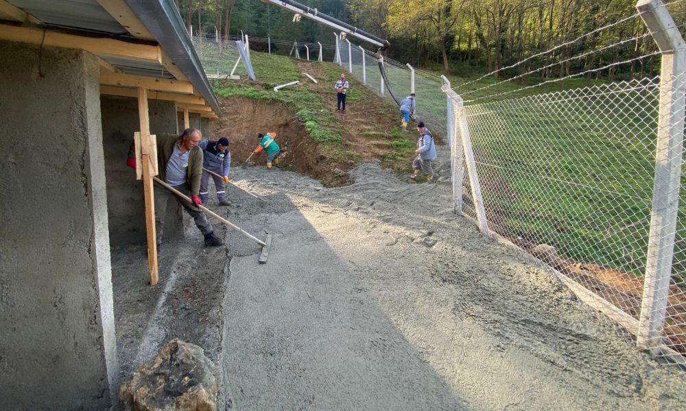 SOKAK HAYVANLARI İÇİN ANLAMLI DESTEK