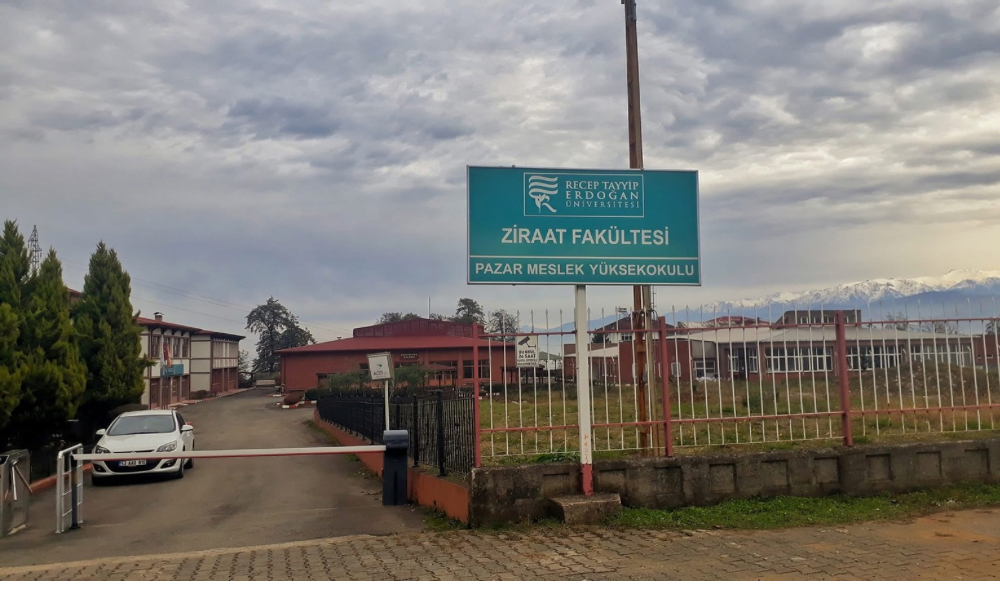 Pazar’da Fidan Dikim Törenine Davet