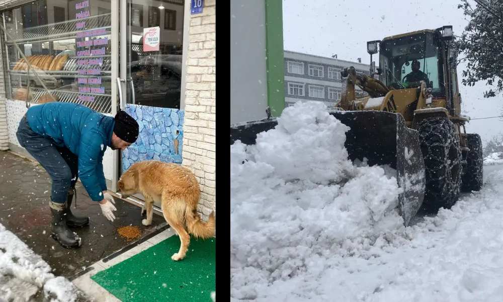 Pazar Belediyesi Tam kadro sahada