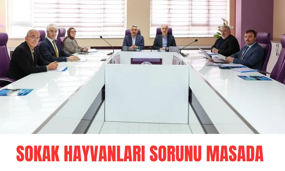 Rize’de Sokak Hayvanları İçin Önemli Toplantı: Çözüm Önerileri Masaya Yatırıldı