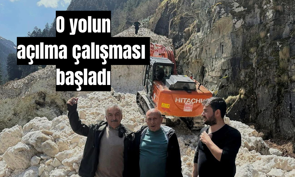 Çamlıhemşin