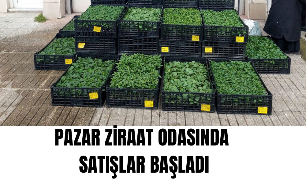Pazar Ziraat Odası