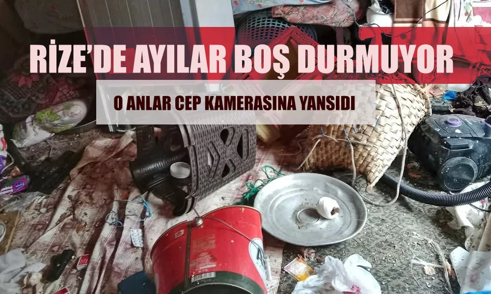 Ayılar Kale köyü ve Yaylalarında  Evlere Zarar Verdi