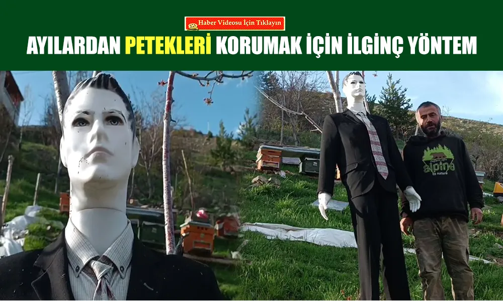 Ayılardan Arıları Kravatlı Maketle Korudu: Erzurumlu Arıcıdan İlginç Yöntem