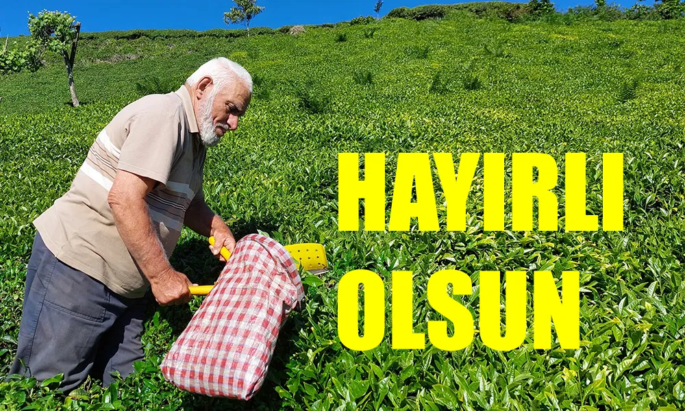 ÇAYKUR 2025 YILI YAŞ ÇAY KAMPANYASINI AÇTI