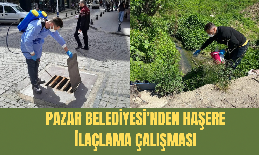 Pazar Belediyesi’nden Sivrisinek ve Haşerelere Karşı Yoğun Mesai