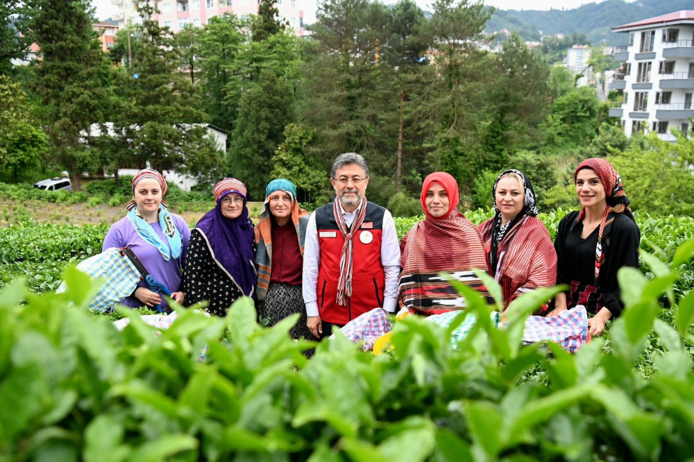 Bakan Yumaklı Rize’de Çay Hasadına Katıldı