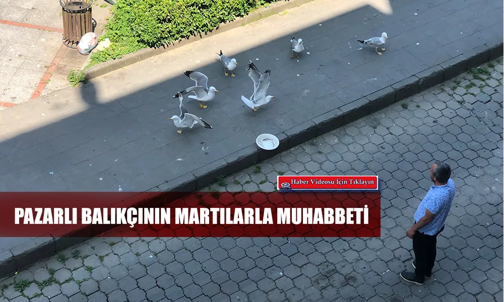 Pazarlı Balıkçının Sabah Ritüeli: Martılarla Paylaşılan Rızık