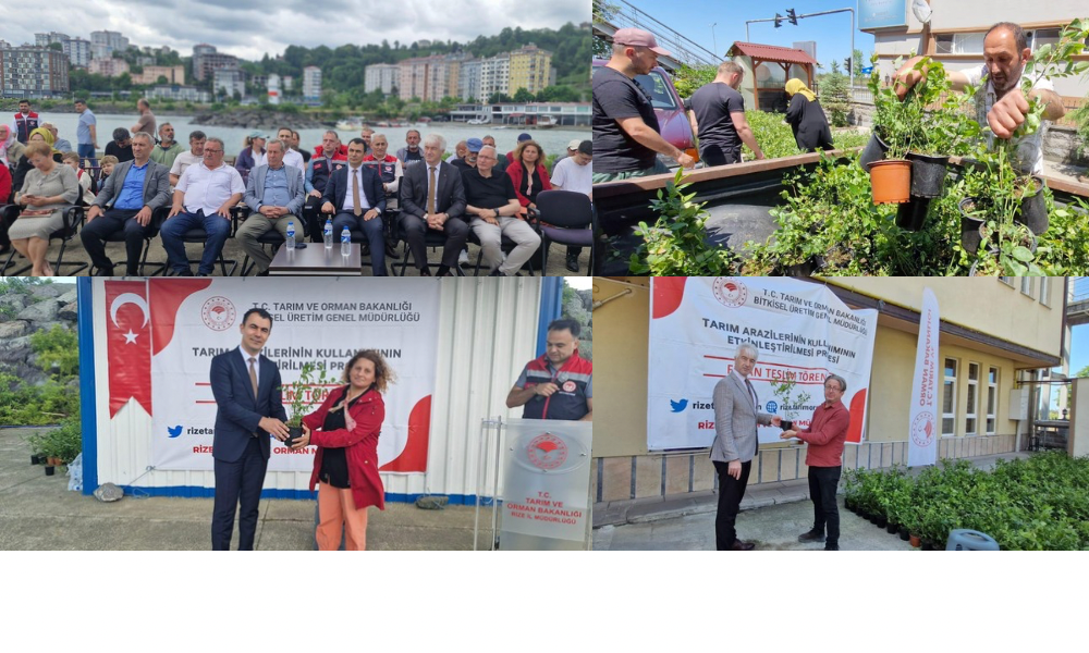  Maviyemiş Fidanı Teslim Töreni Gerçekleştirildi