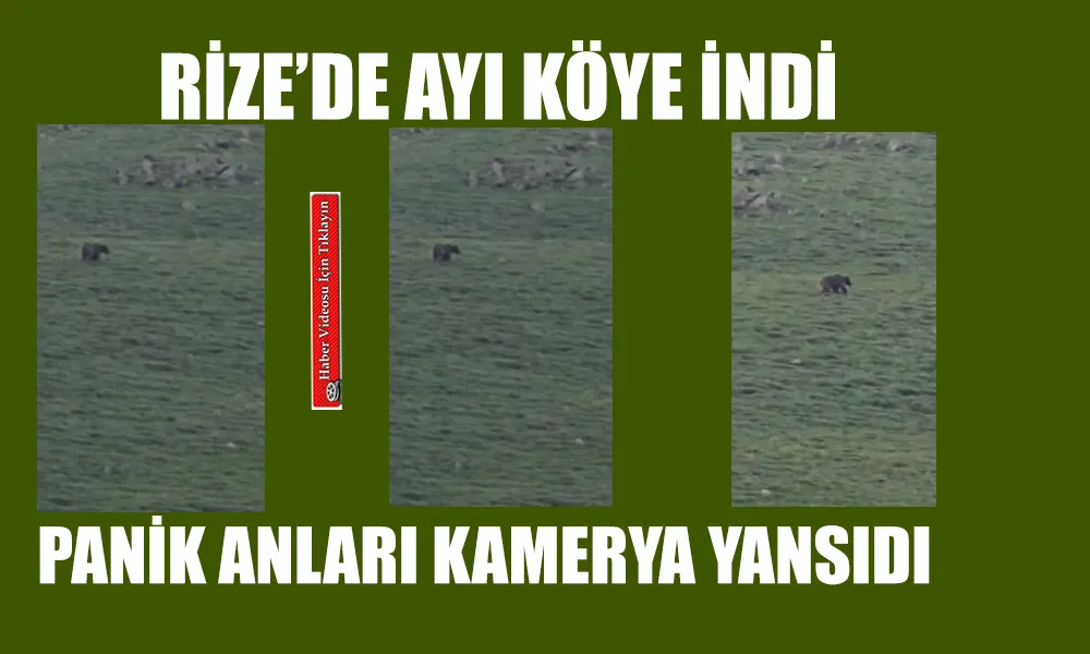 Rize