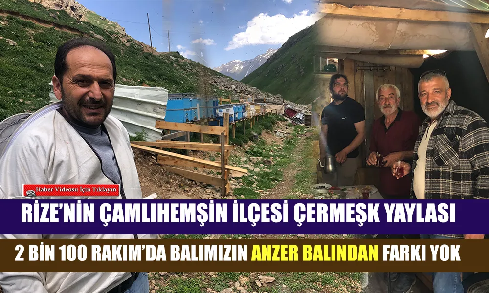 Çamlıhemşin’in 2 Bin 100 Rakımlı Yaylasında 20 Yıllık Emek: Talat Yılmaz’ın Organik Bal Üretimi