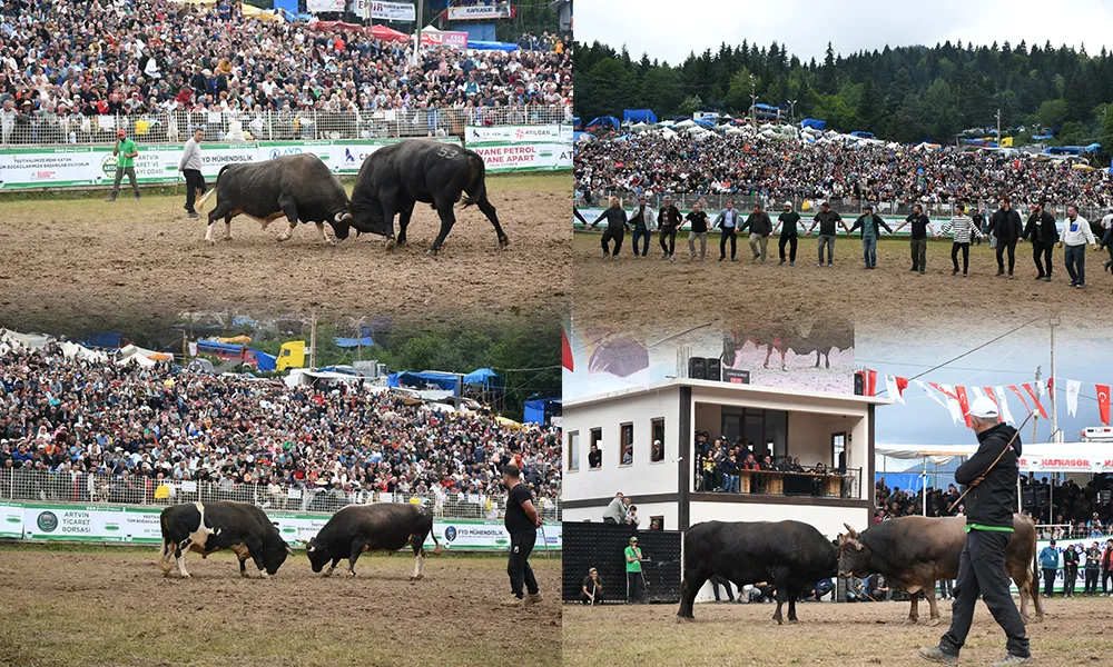 FESTİVAL SONA ERDİ.