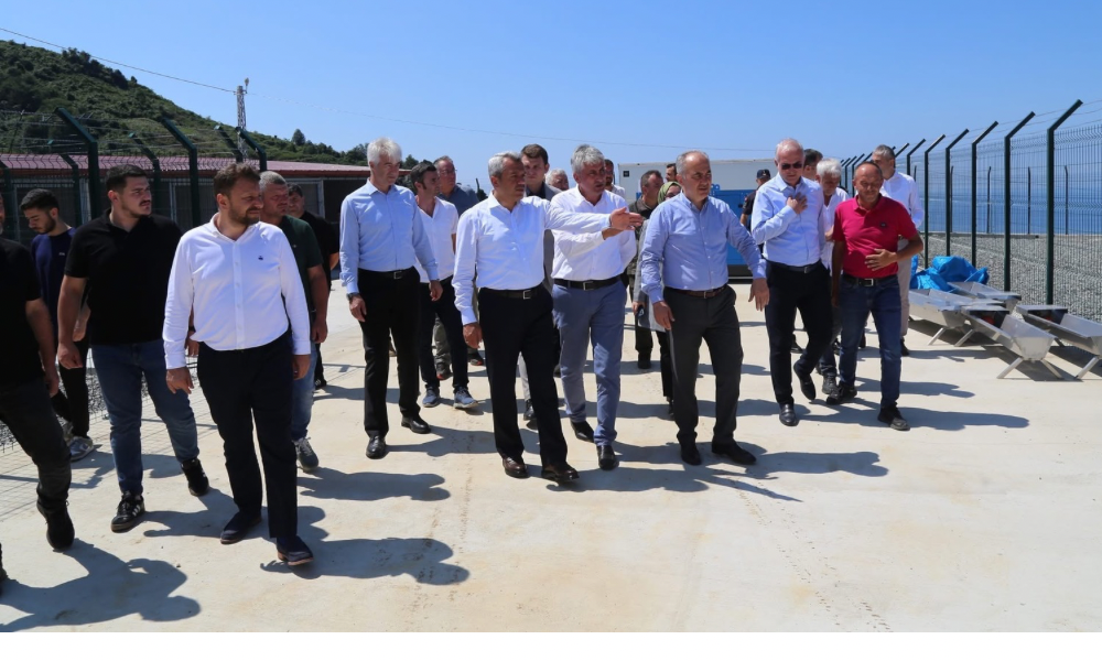Sahipsiz Sokak Hayvanları Doğal Yaşam Alanı’nda Çalışmalar Sürüyor