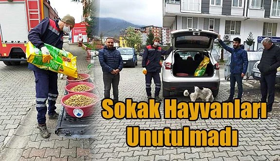 KEMALPAŞA’DA SOKAK HAYVANLARI UNUTULMADI