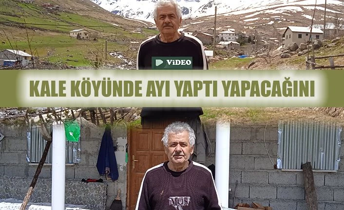 Ayılar evi talan etti