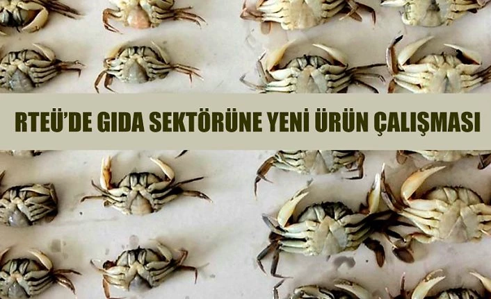 RTEÜ Gıda Sektörüne yeni ürün kazandıma çalışması