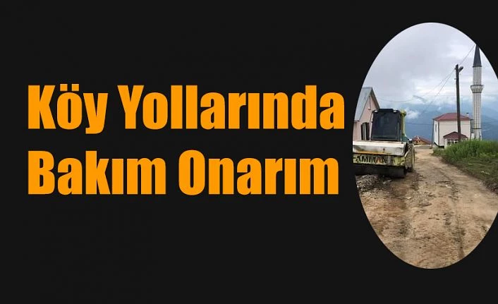 YAYLA YOLLARININ BAKIMI YAPILIYOR