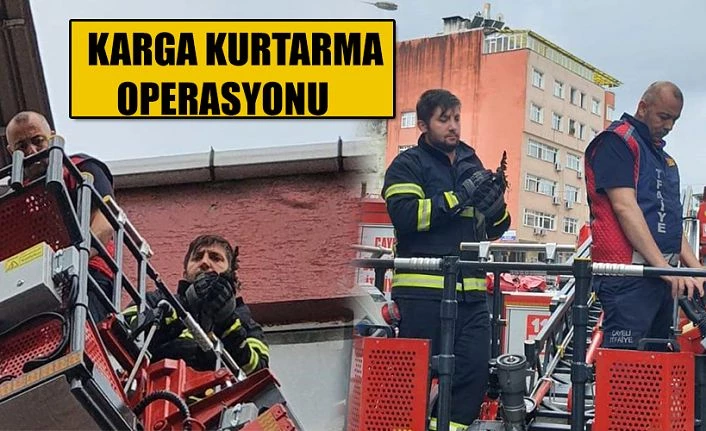 İtfaiyeden Karga kurtarma operasyonu