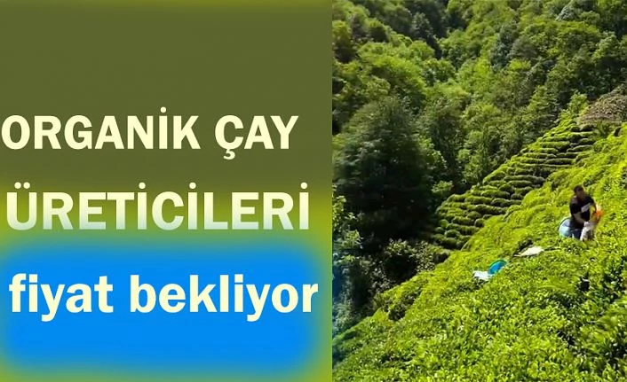 Üreticiler fiyat bekliyor