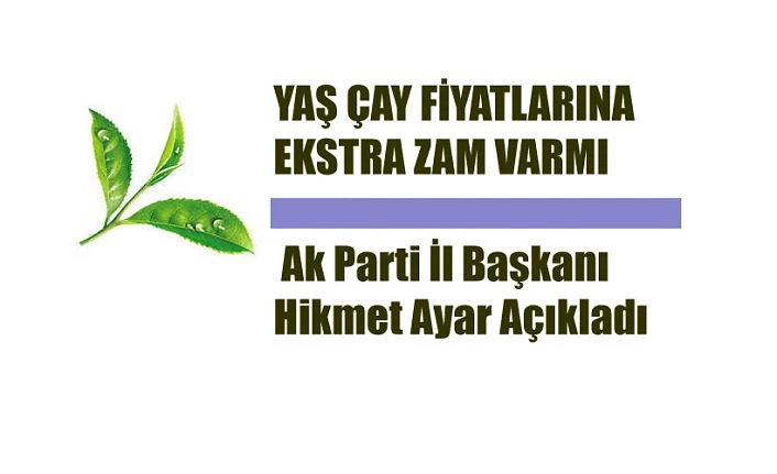 Yaş Çay